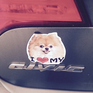As it was pointed out to me, it looks like the Pomeranian is endorsing Civics